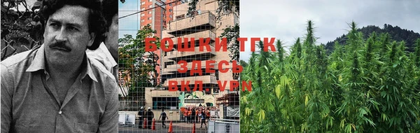 твердый Липки
