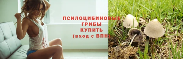твердый Липки