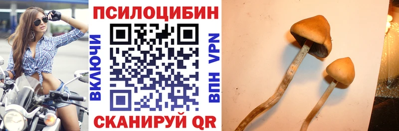 MEGA онион  Александровское  Псилоцибиновые грибы Psilocybine cubensis 